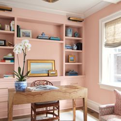 New York Paint & Hardware Yorkville - Benjamin Moore, Precocious