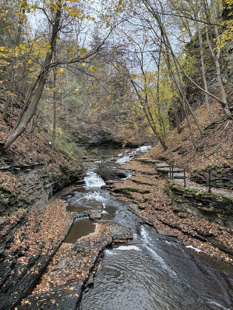 Social spots from Cascadilla Gorge Trail