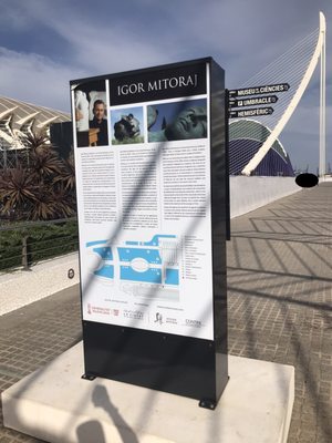 Queen Sofia Palace of Arts by null