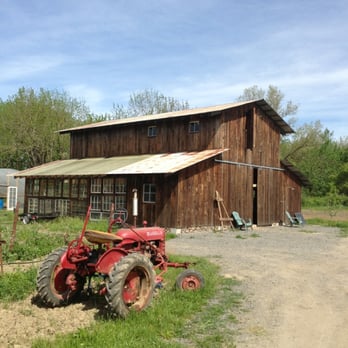 Foggy River Farm - CSA Near Me - Healdsburg, California