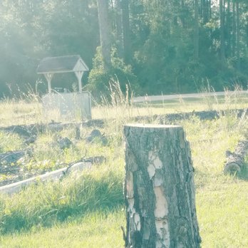 Macs Tree Service - Tree Services Near Me - Middleburg, Florida Macs Tree Service - Tree Services Near Me - Middleburg, Florida