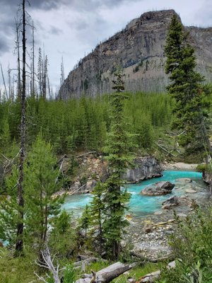 Kootenay National Park by null