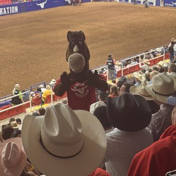 Rodeo Austin - Rodeo Near Me - Austin, Texas
