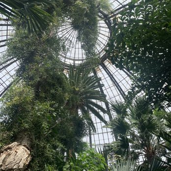 Anna Scripps Whitcomb Conservatory - Botanical Gardens Near Me - Detroit, Michigan Anna Scripps Whitcomb Conservatory - Botanical Gardens Near Me - Detroit, Michigan