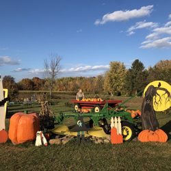 Cicero Pumpkin Patch