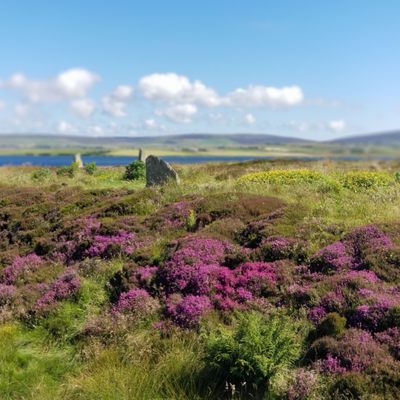 Ring of Brodgar by null