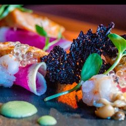 Ember - Scallops