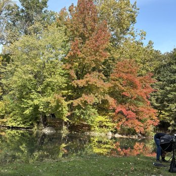 Harlem Meer - Fall in Central Park - Parks Near Me - New York, New York