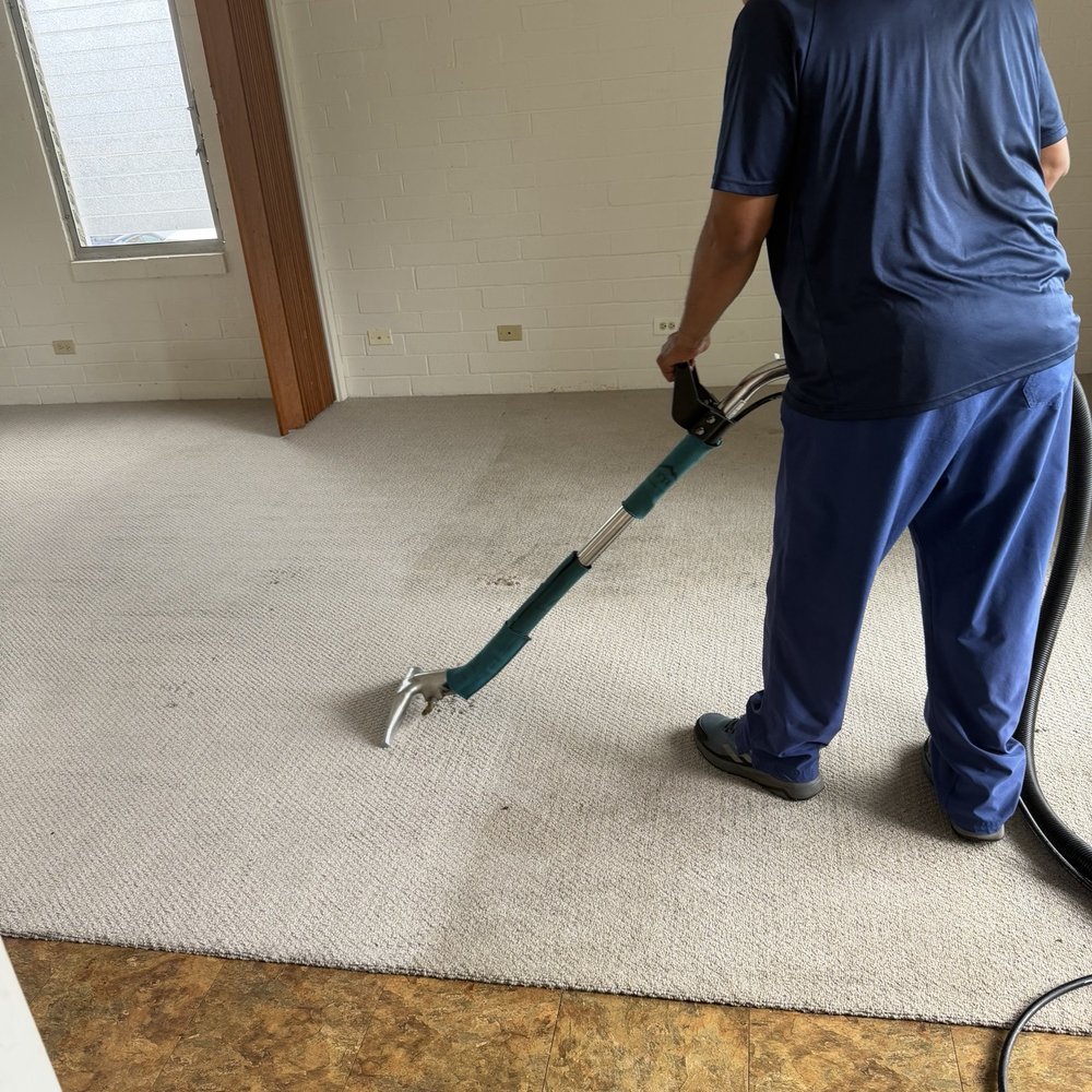 Red Carpet Cleaning Service - Red doing a great job - Carpet Cleaning Near Me Red Carpet Cleaning Service - Red doing a great job - Carpet Cleaning Near Me