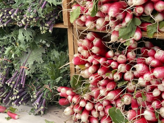 Old Beach Farmers Market by null
