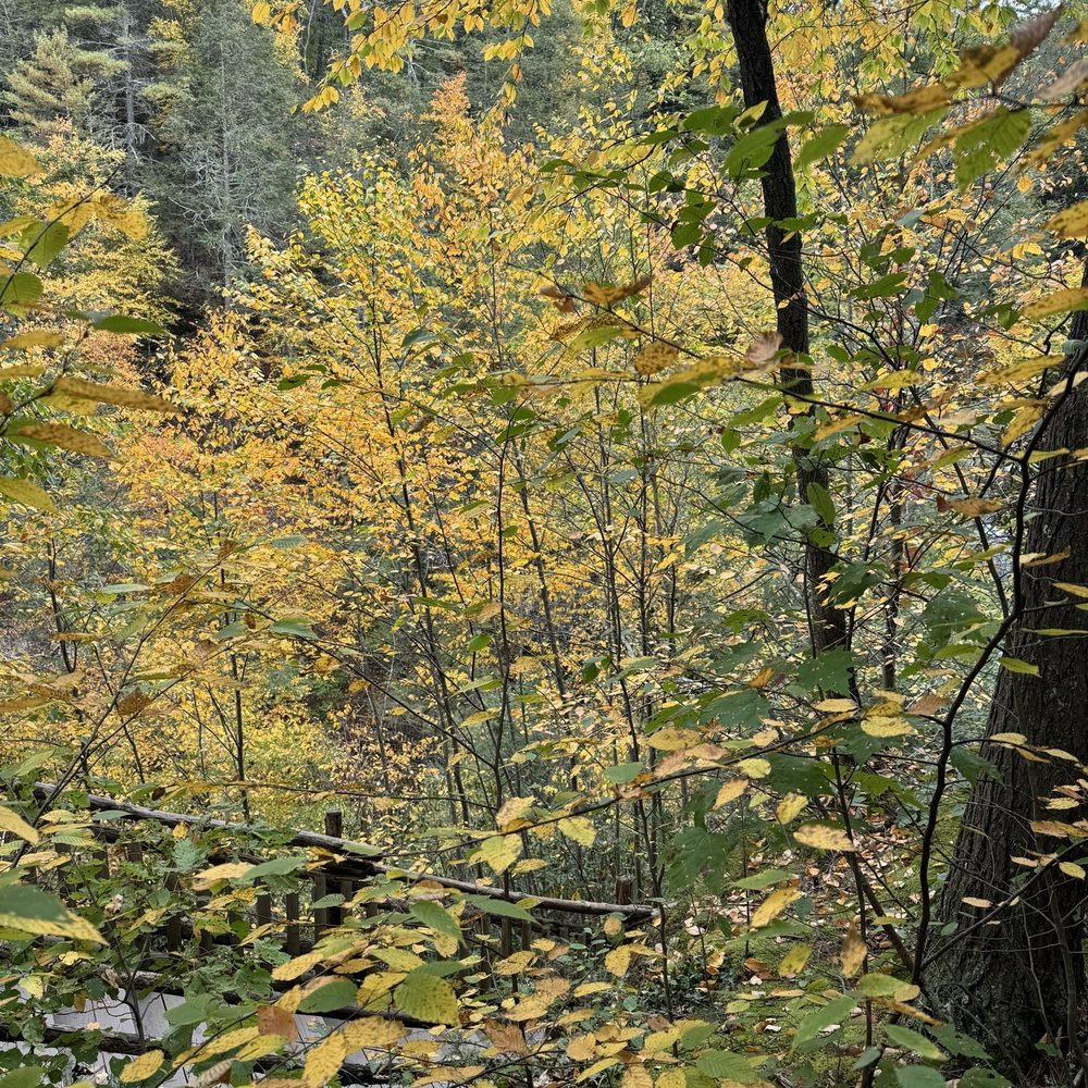 Bushkill Falls - Tours Near Me - Bushkill, Pennsylvania Bushkill Falls - Tours Near Me - Bushkill, Pennsylvania