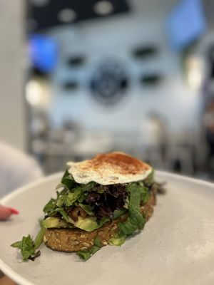 Mitch's Downtown Bagel Cafe by null