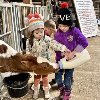 TMK Creamery - Giving the Calves Milk - Cheese Shops Near Me - Canby, Oregon TMK Creamery - Giving the Calves Milk - Cheese Shops Near Me - Canby, Oregon