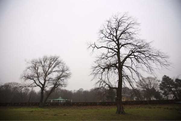 Charlottenlund Beach Park by null