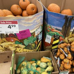 Smart & Final Extra! - Pumpkin season!