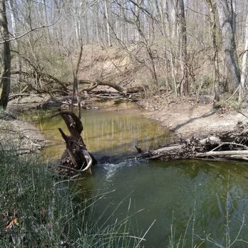 O'Shaughnessy Nature Preserve - Creek area - Parks Near Me - Powell, Ohio