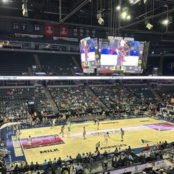 Grand Rapids Gold - Grand Rapids Gold