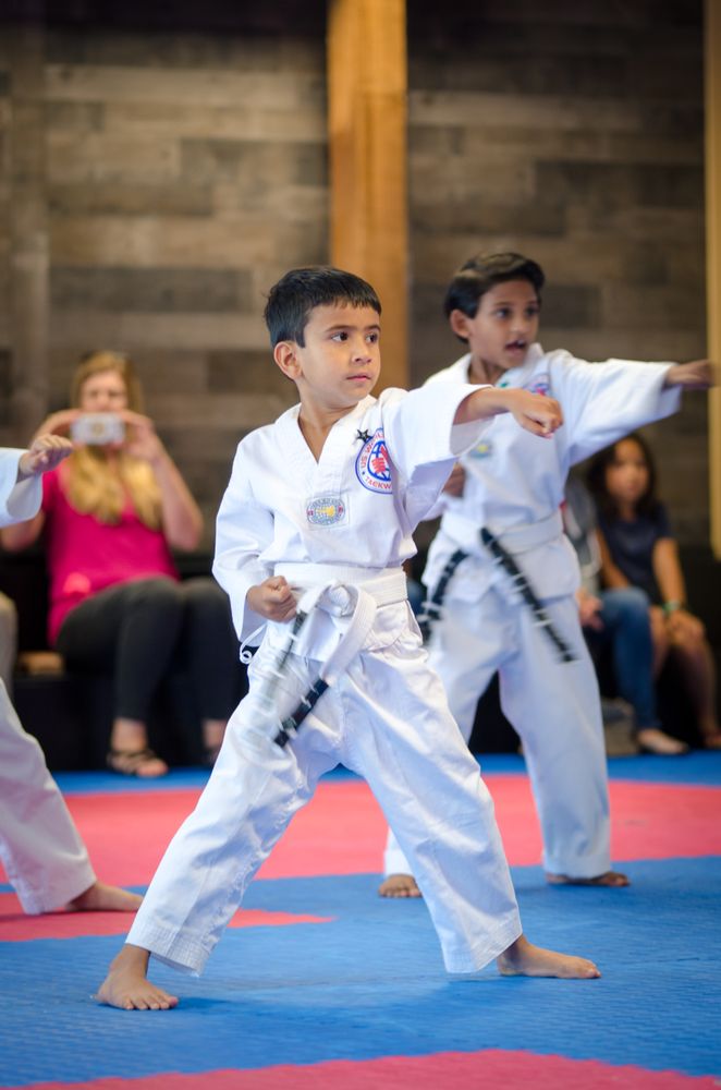 World Class Taekwondo Logo