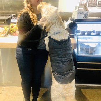Just Food For Dogs - Baci giving bacis - Pet Stores Near Me - Seattle, Washington Just Food For Dogs - Baci giving bacis - Pet Stores Near Me - Seattle, Washington