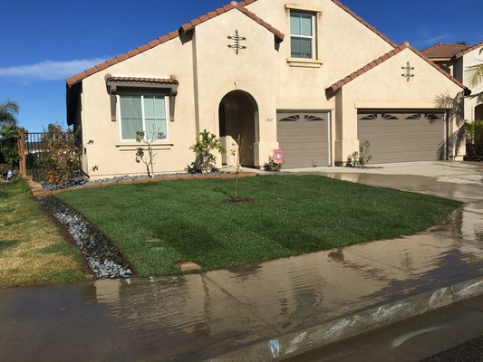 New Sod & fruit trees in Oceanside - Homeowner was tried of having boring old dead grass/weeds so we add some curb appeal by installing new tall fescue sod, planting an apple tree in the middle of the new lawn & added a 1 foot wide border of Mexican beach pebbles separating from the neighbors lawn home owner love it! We also installed new sod & fruit trees in the backyard New Sod & fruit trees in Oceanside - Homeowner was tried of having boring old dead grass/weeds so we add some curb appeal by installing new tall fescue sod, planting an apple tree in the middle of the new lawn & added a 1 foot wide border of Mexican beach pebbles separating from the neighbors lawn home owner love it! We also installed new sod & fruit trees in the backyard