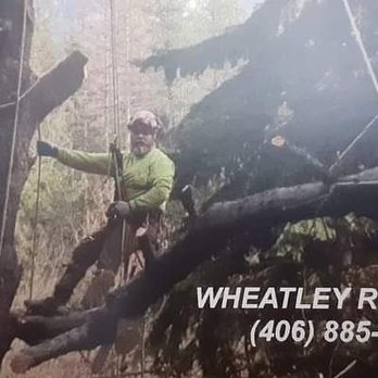 Wheatly Ryan - Tree Services Near Me