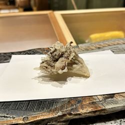 Maitake  @davideatsdc