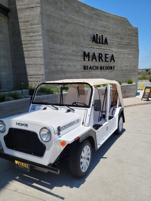 Seven Seas Roasting Co. by null