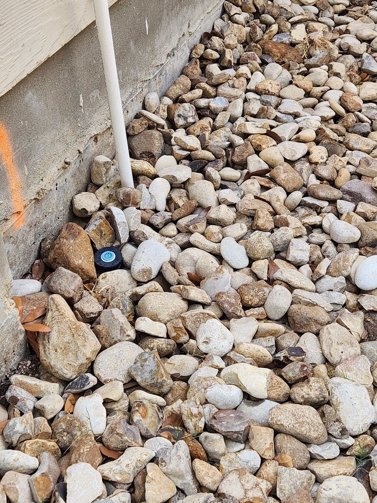 Lone Star Landscaping and Tree Service - tree service in San Antonio, TX