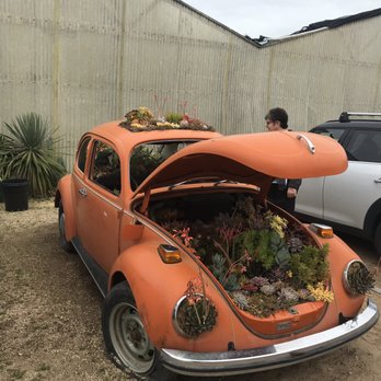 Succulent Gardens - Cool! - Nurseries & Gardening Near Me - Castroville, California