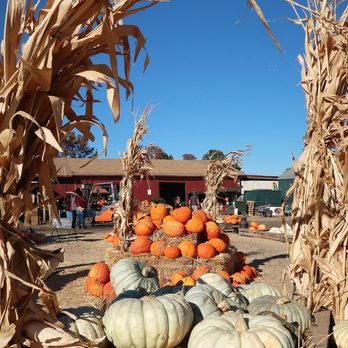 Larry's Produce - Fruits & Veggies Near Me - Fairfield, California Larry's Produce - Fruits & Veggies Near Me - Fairfield, California