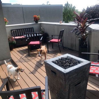 Chicago Porch Authority - Decks & Railing Near Me - Chicago, Illinois Chicago Porch Authority - Decks & Railing Near Me - Chicago, Illinois
