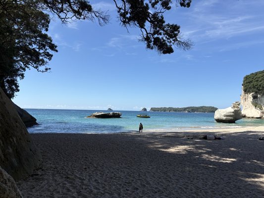 Cathedral Cove Beach by null