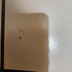 Quality Inn Holbrook - Bed splatter after killing it.