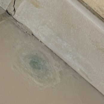 Circus Circus - MOLD under sink - Hotels Near Me - Las Vegas, Nevada Circus Circus - MOLD under sink - Hotels Near Me - Las Vegas, Nevada