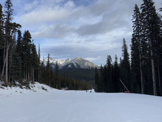 Nakiska Ski Area by null