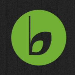 Bonadona's Carpet Cleaning