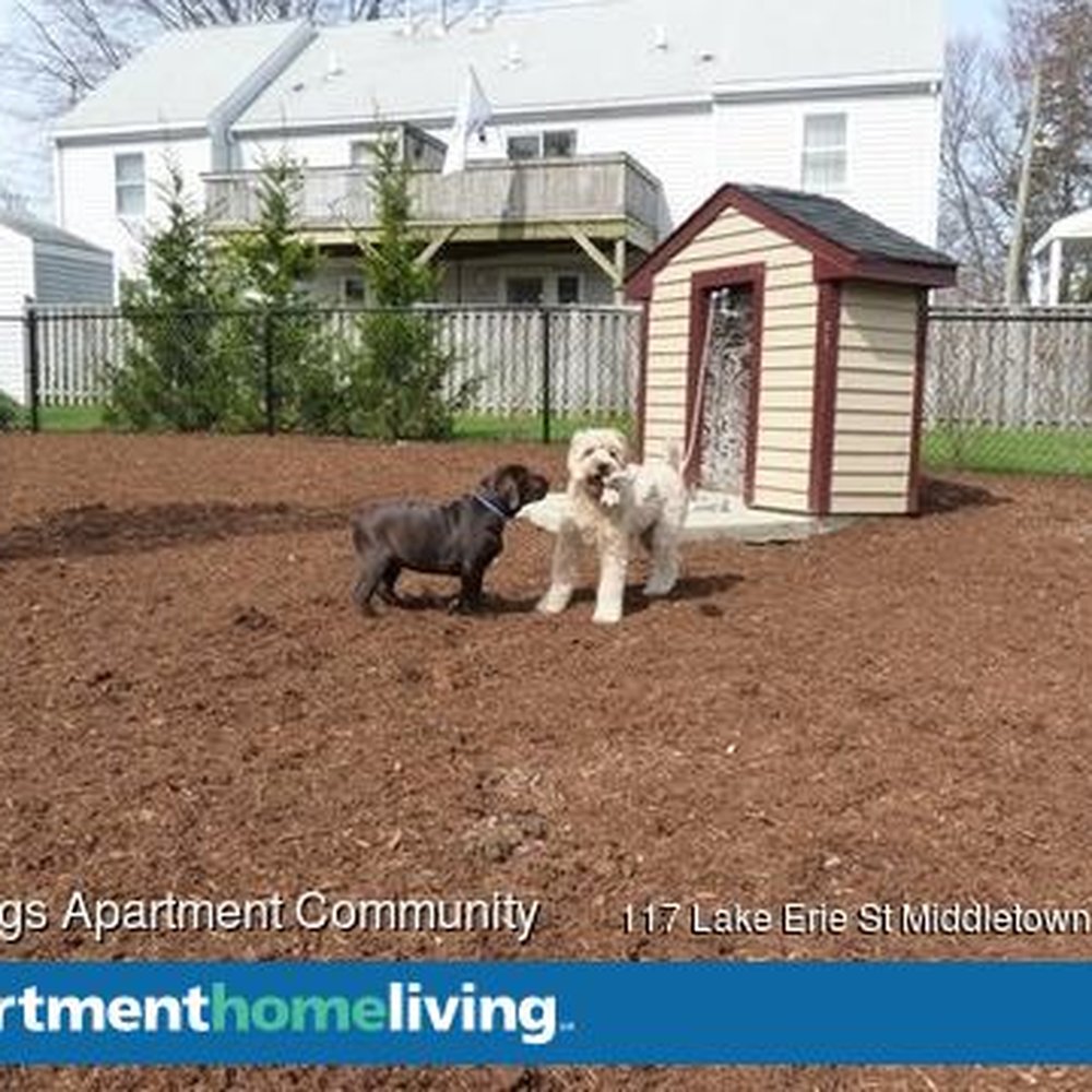Landings Apartment Community - Dog Park! Quite Spacious - Apartments Near Me - Middletown, Rhode Island Landings Apartment Community - Dog Park! Quite Spacious - Apartments Near Me - Middletown, Rhode Island