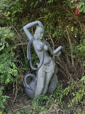 Victor's Way by null