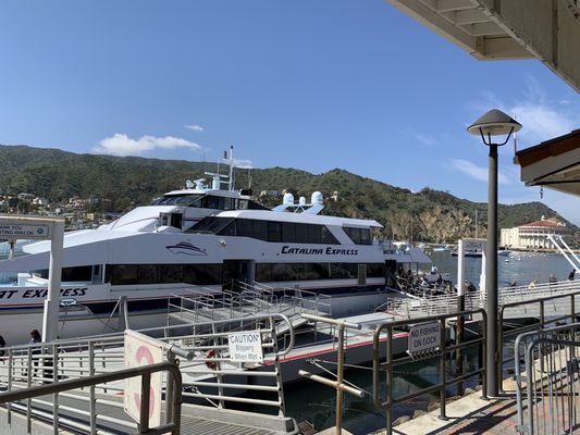 Catalina Express by null
