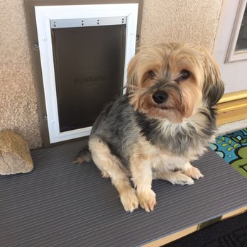 Call Our Handyman - My dogs thank you Robert! - Handyman Near Me Call Our Handyman - My dogs thank you Robert! - Handyman Near Me