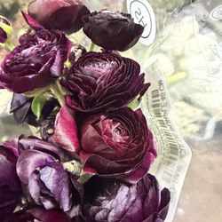 Vogue Flowers, Gifts & Richmond Flower Delivery