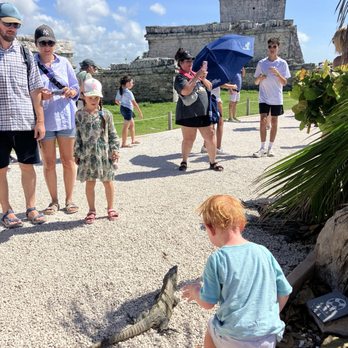 Zona Arqueológica de Tulum - So many iguanas!! Hundreds live here - Landmarks & Historical Buildings Near Me - Tulum, ROO
