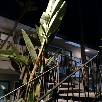 Kings Inn San Diego - San Diego, CA