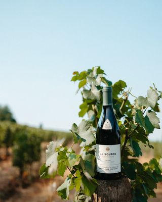Evening Land Vineyards by null