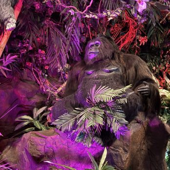 Rainforest Cafe - American Near Me - Gurnee, Illinois Rainforest Cafe - American Near Me - Gurnee, Illinois