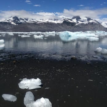 VS Helicopters - You could see, hear and feel the glacier breaking off. We also saw seals and eagles. - Tours Near Me - Valdez, Alaska