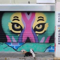 Ojo de Tigre