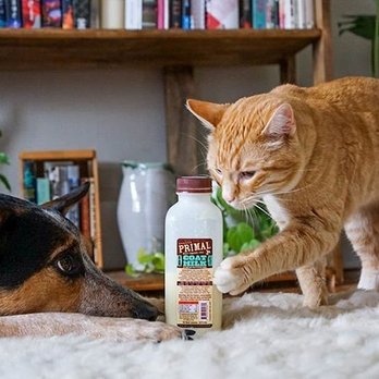 EarthWise Pet - Four flavors of goat milk with added nutritional benefits for each. - Pet Stores Near Me - Naperville, Illinois