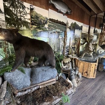 Butler's Motel - Nancy's nature museum - Hotels Near Me - Neah Bay, Washington Butler's Motel - Nancy's nature museum - Hotels Near Me - Neah Bay, Washington