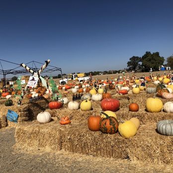Perry's Pumpkin Farm - Pumpkin Patches Near Me - Sacramento, California Perry's Pumpkin Farm - Pumpkin Patches Near Me - Sacramento, California